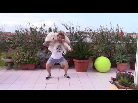 DOG TRAINING by