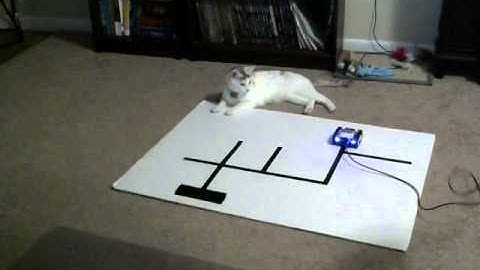 ECE 1331 - Computers and Problems Solving - Dr. Julius Marpaung - Scott Phillips - Spring 2015