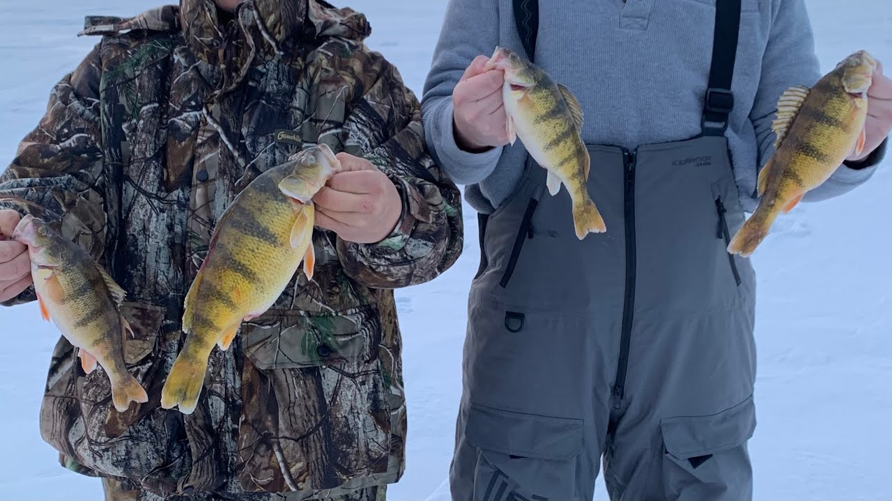 Mille Lacs Lake Walleye and Perch Ice Fishing Report (Mid-Winter February  2023) 