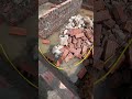 ⚡ THI CÔNG HỆ THỐNG TIẾP ĐỊA CHỐNG SÉT CHO NHÀ CAO 5 TẦNG TẠI HÀ NỘI ⚡