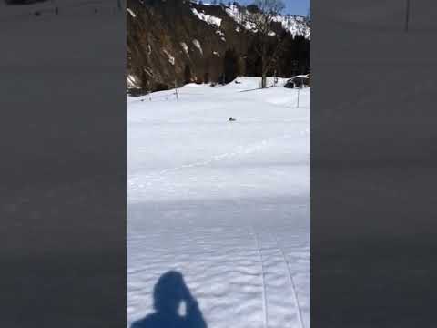 小娘 雪遊び ソリ 2022年冬