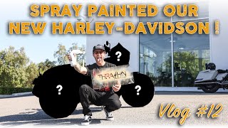 Spray Painted Our New Harley-Davidson! - Vlog 12
