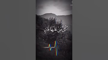 {كُلُّ مَنْ عَلَيْهَا فَانٍ} القارئ/ عمر الدريويز