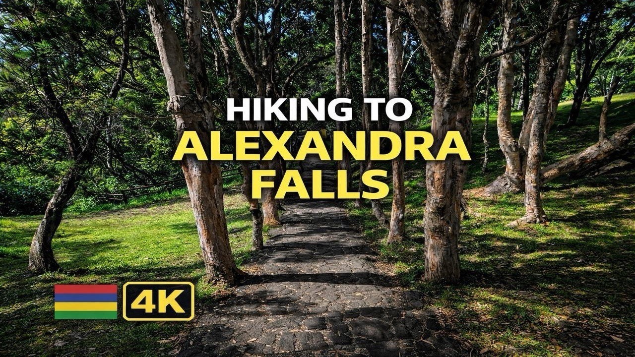 Hiking to Alexandra Falls | Calm Forest Walk & Nature Sounds | 4K