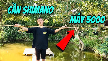 Câu Cá Bằng Cần Câu Máy Shimano Màu Gold