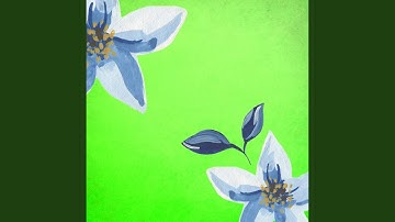 Peaceful Backdrops for Unlimited Keynotes