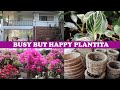 BUSY BUT HAPPY PLANTITA :)