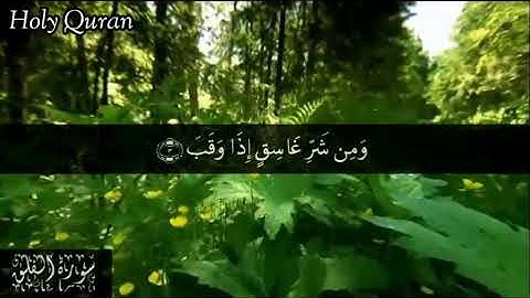113 سورة الفلق بصوت | الشيخ سعد الغامدي