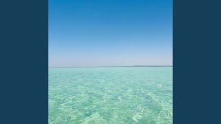 Kalp Bir Kere Sever Resimi