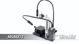 MSAK813 Dual Adjustable Flex Light accessory for Dino-Lite