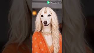 enjoy the ai generated funny videos 📷 #ai #shorts ##video # trending 😎