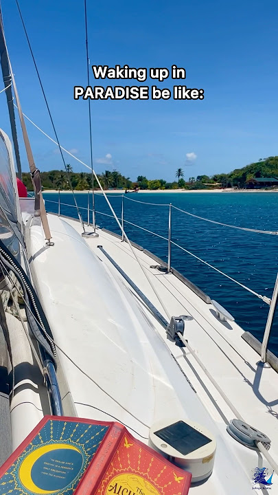 Waking up in PARADISE be like: 🙌🏝️⛵️ #beach #island #caribbean