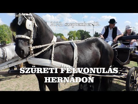 Szüreti felvonulás Hernádon 2022