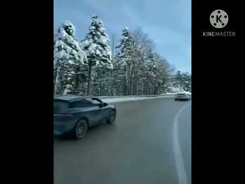 امي ثم امي حتى اخر يوم في عمري