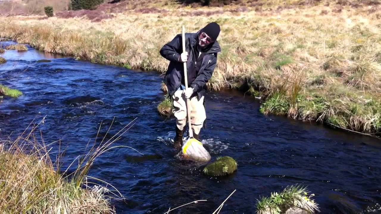 Kick Sampling Sampling Kick
