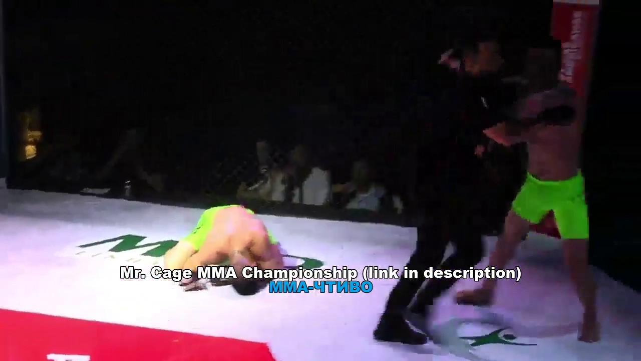 Результативное попадание / Effective hit. Mr. Cage vs. Rei da Selva Combat.