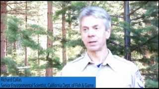 Pacific fisher release with captions.f4v
