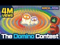 Macaroni the domino contest  macaandroni channel