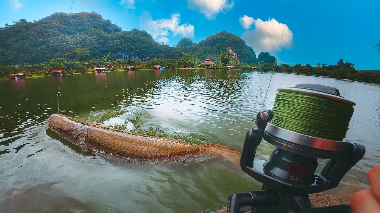 The Truth about 'CATCHING MONSTERS' in Thailand..