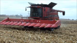 Corn Harvesting with a 2011 Case Combine 8120