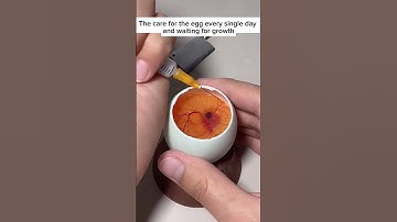 The Man successfully saved duck egg