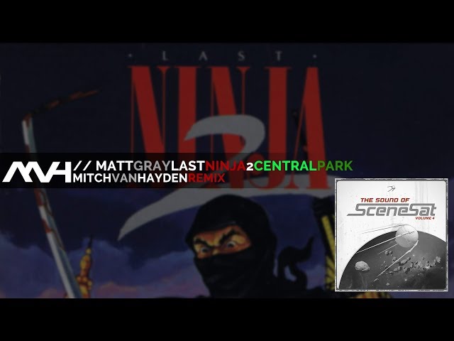 🎶 Matt Gray - Last Ninja II Central Park (Mitch van Hayden Remix)