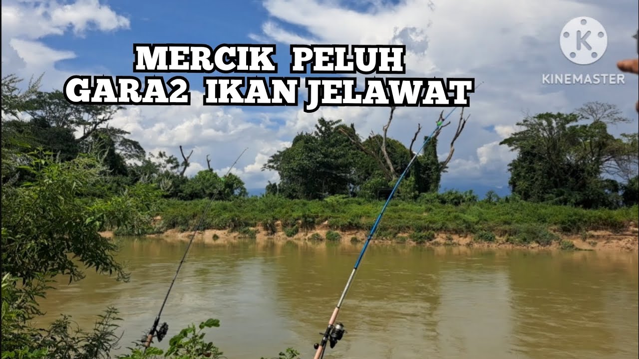Baju basah lenjun gara2 ikan jelawat sungai kinta.