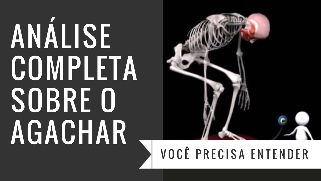 Biomecânica do agachamento: saiba tudo sobre!