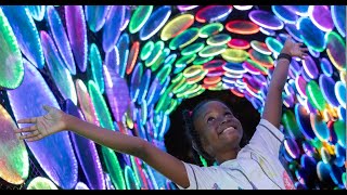 Boston Lights: A Must-See Lantern Experience