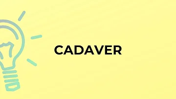 O que que significa a palavra cadáver?