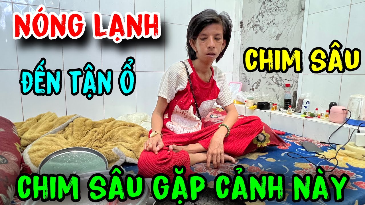 ớn lạnh đến chỗ ở của chim sâu gặp cảnh này #tuấnlaivung #chimsâu 