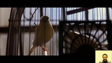 اسبوع 11 - فيديو 2 - راجع افكارك على القرآن الكريم