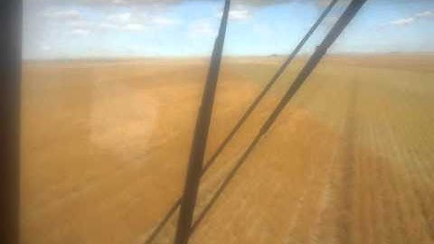combining red lentils 2011