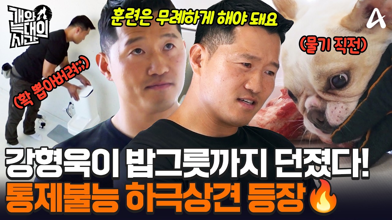 살면서 져본 적이 없는 서열 1위 프렌치 불독!💥 그러나 강형욱의 초강수 솔루션으로 멘붕 상태에 빠지는데?!ㅣ개와 늑대의 시간