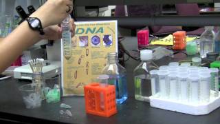 Exploration Station Training Video Part 1