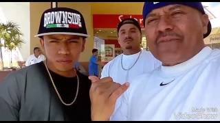 TOKER BROWN SIDE & MR.MINI