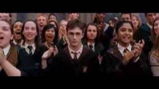 Harry Potter- Destroy Everything You Touch