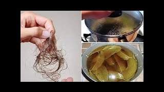 Si Tu CABELLO Se Est� Cayendo, La SOLUCI�N Est� Al Alcance De Tu Mano !ENTERATE HOY� RC 21