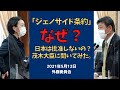 「ジェノサイド条約」なぜ？日本は批准しないの？茂木大臣に聞いてみた。【2021年5月12日　外務委員会】