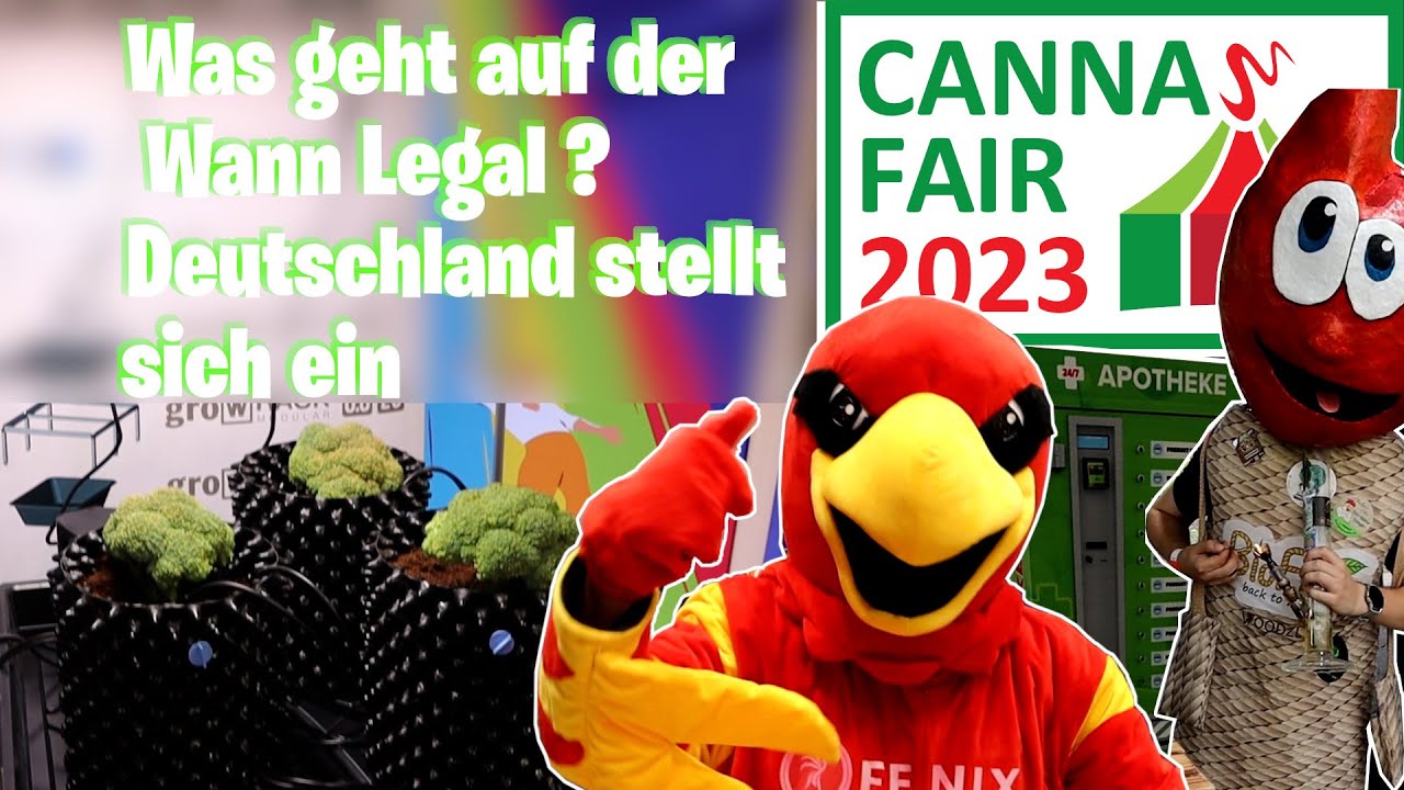 Wie L/Egal  alles LEKKER #Cannafair Messe #düsseldorf #fair #2023 #trip #brokkoli #Cannabis #bubatz