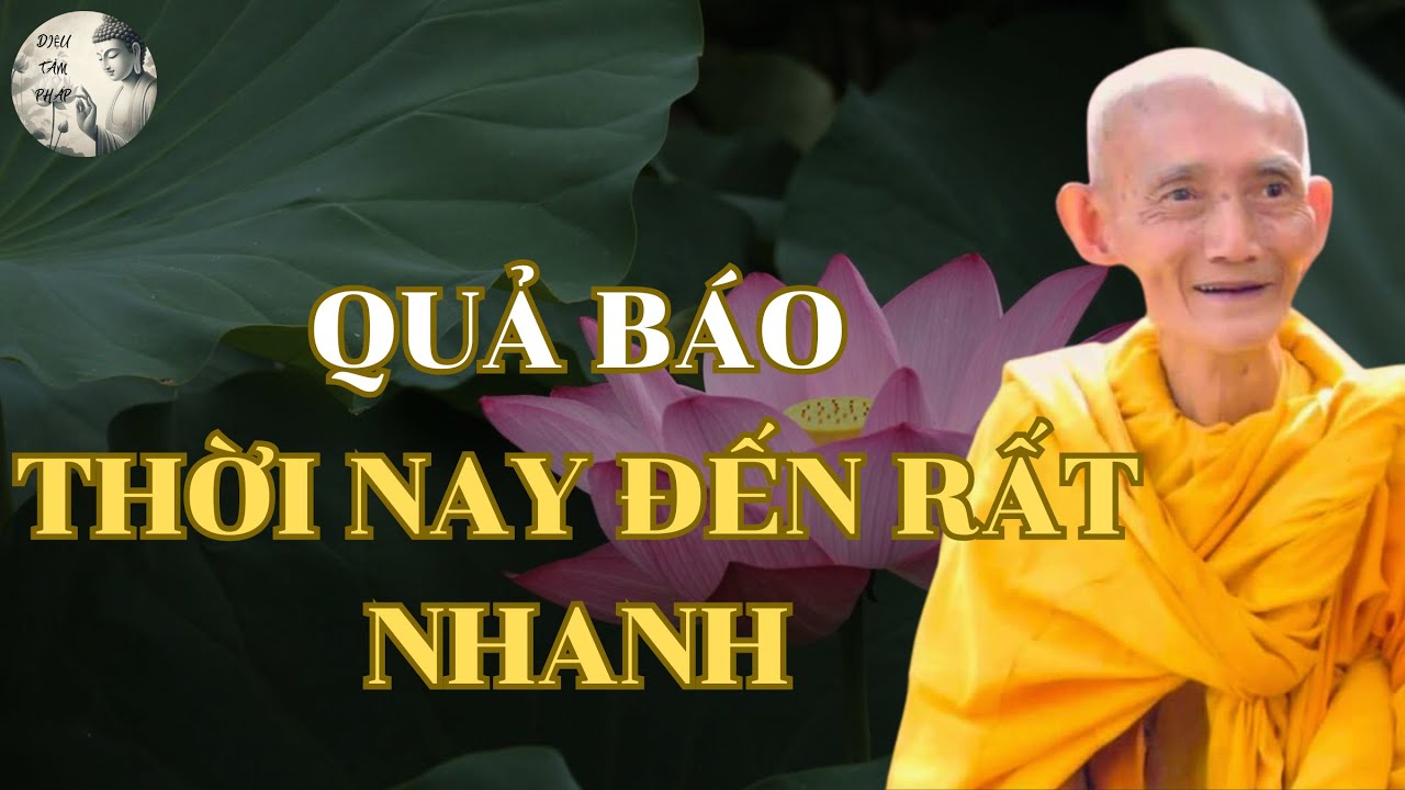 Quả Báo Thời Nay Đến Rất Nhanh Và Nghiêm Trọng | Hòa Thượng Thích Giác Khang