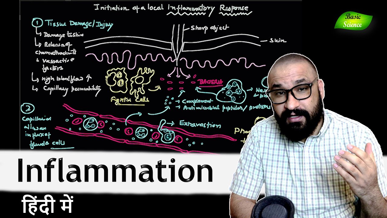 सूजन (Inflammation) क्या होती है और इसके पीछे का विज्ञान क्या है? Basic Science Series Hindi