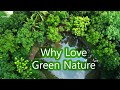 Why love green nature  travel tuner