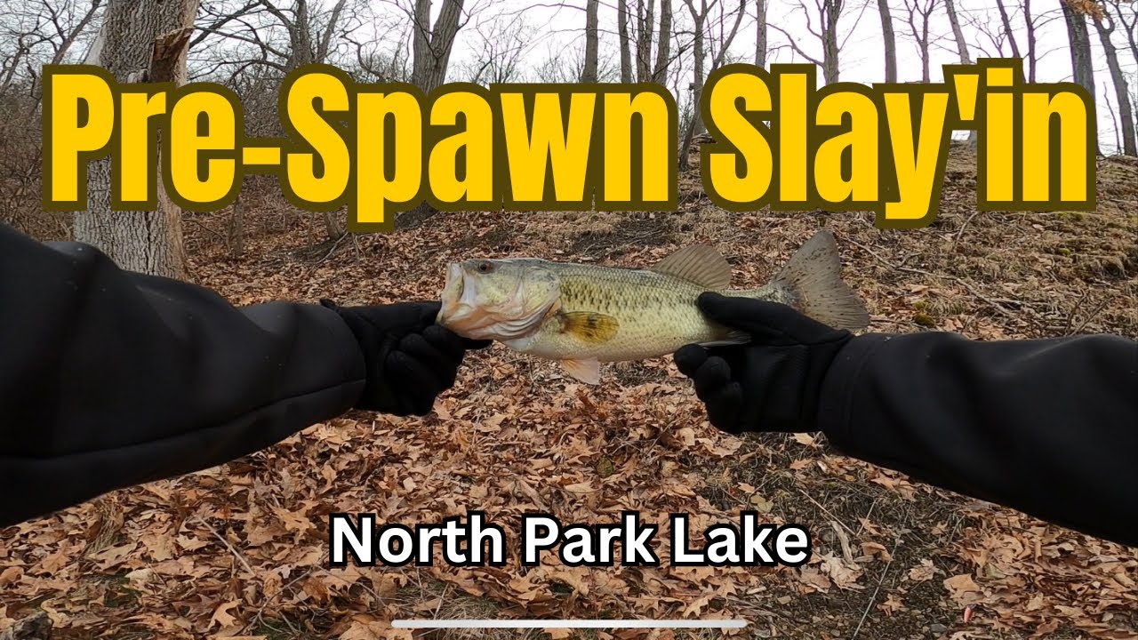 I'm BACK! First Fishing of 2023 at North Park Lake YouTube