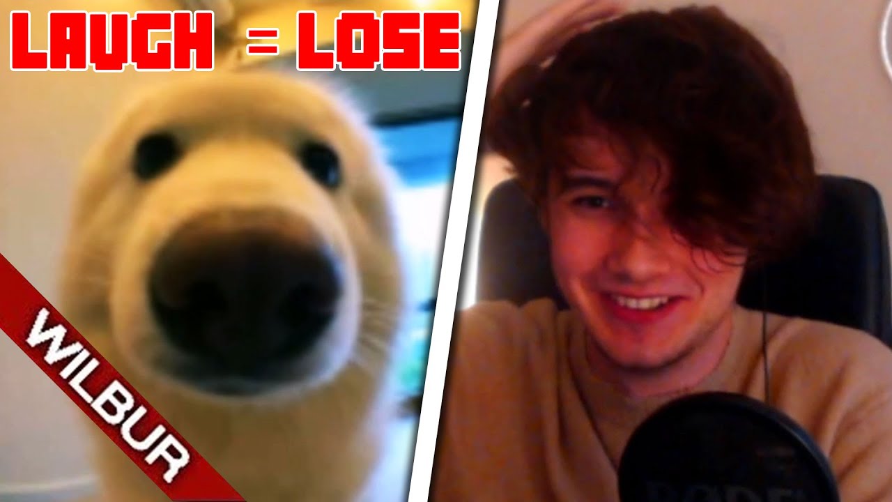 Если чат Twitch заставляет меня смеяться, видео заканчивается