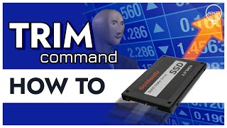 TRIM command for SSD and file recovering — What is in common