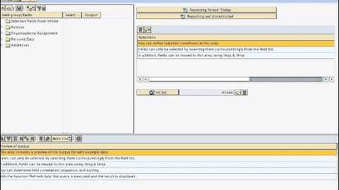 SAP HCM Infoset and Query
