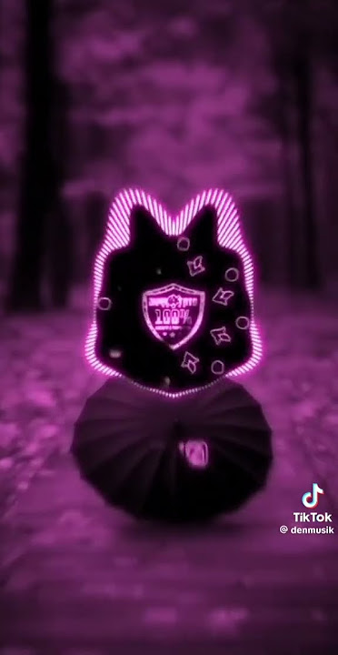 dj #sentuhancintamanjamanja