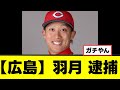 広島カープ、期待の若手がガチでヤバい事態になる