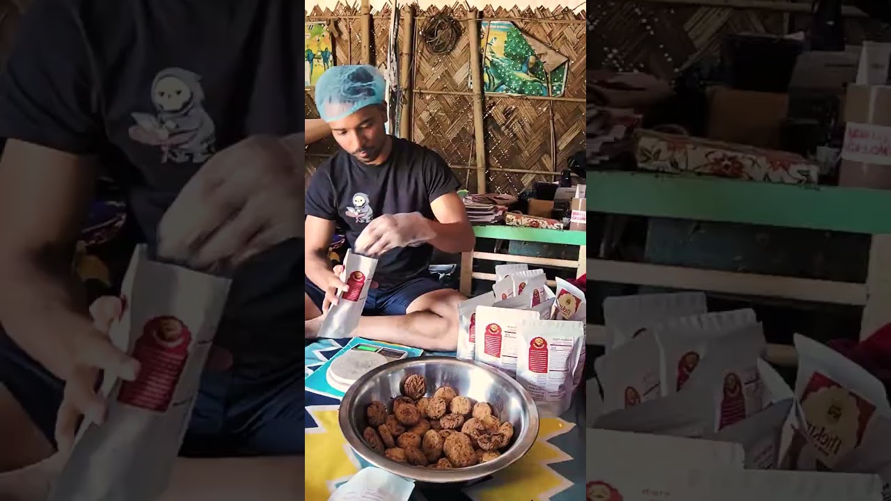 Thekua startup - Desi tesi 